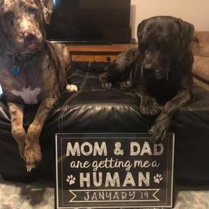 Meet your Posher, Christina